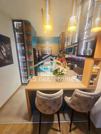 Dedinje-petosoban stan sa privatnim dvorištem